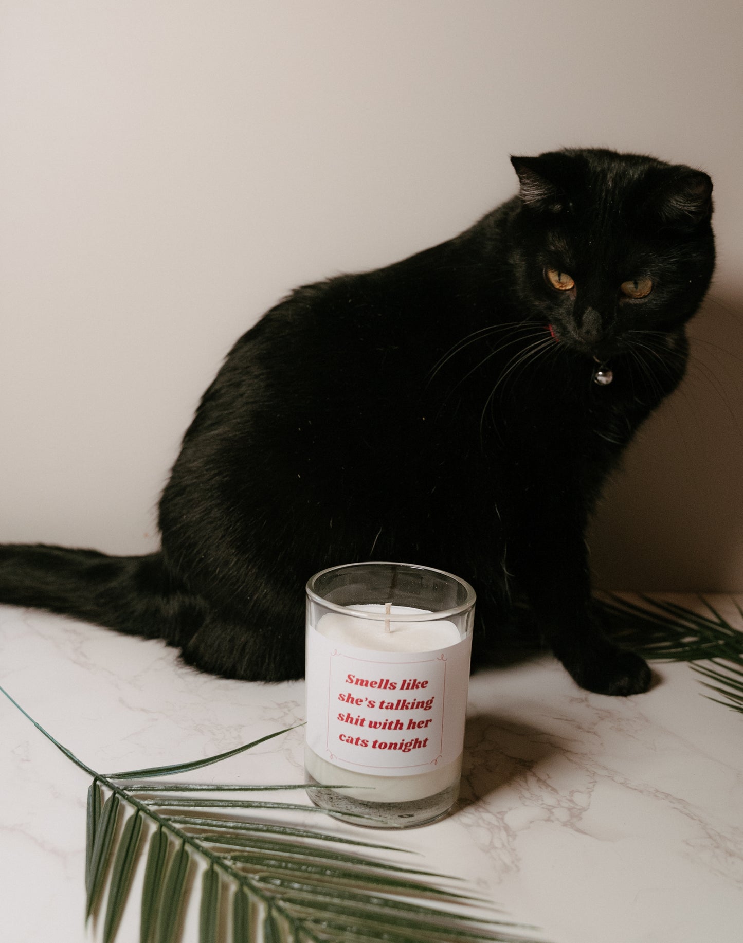 Cat Lover Wax Candle