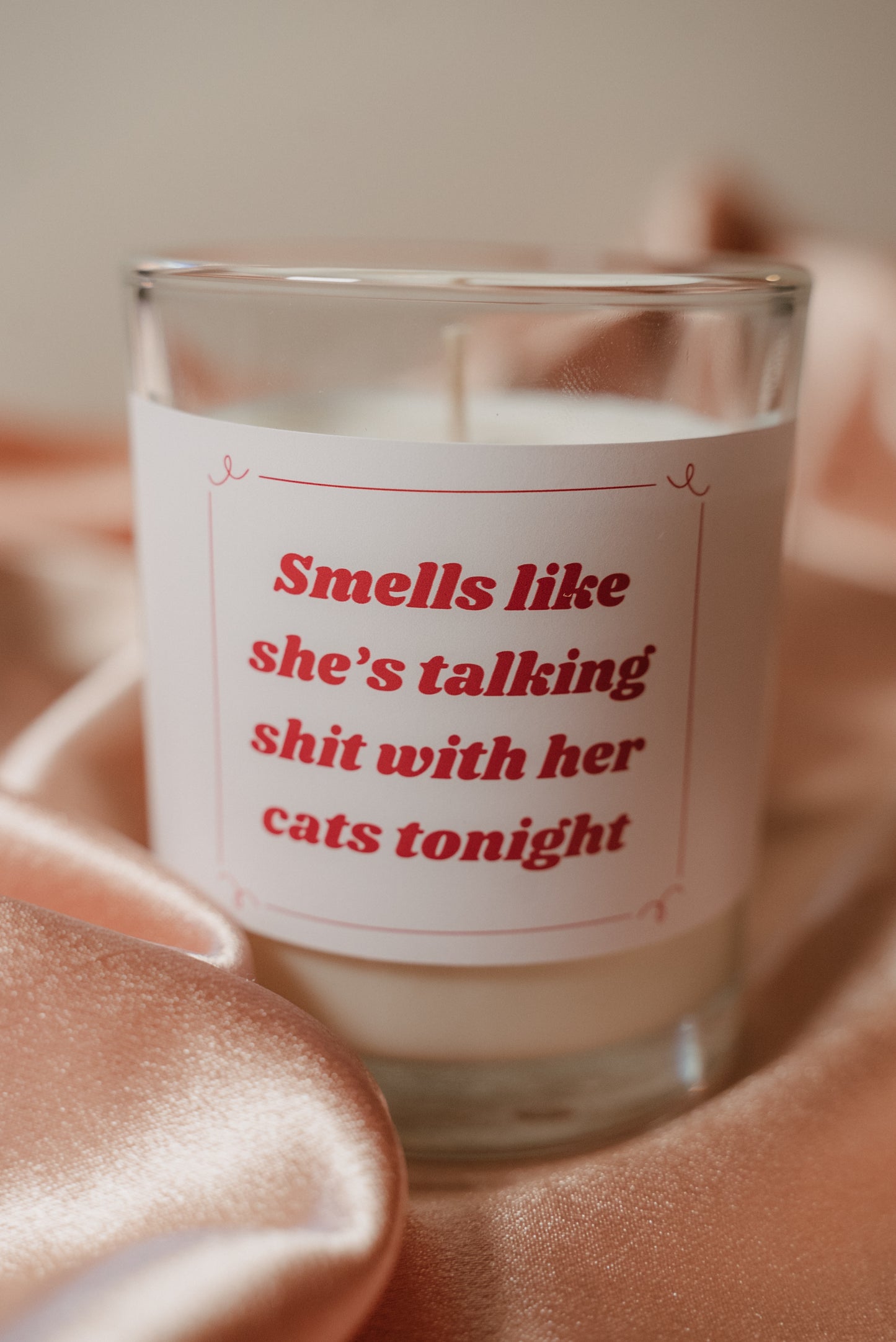 Cat Lover Wax Candle
